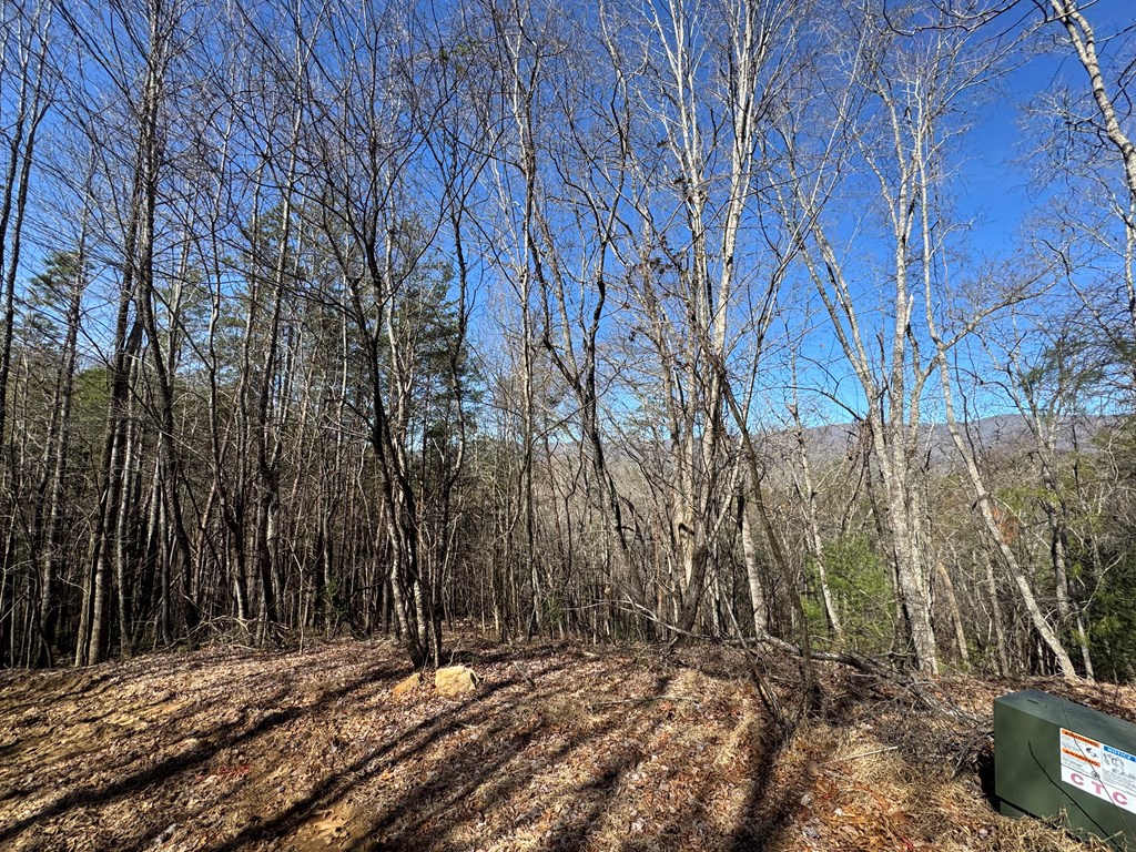 Trac I 2 Crockett Mountain Lane