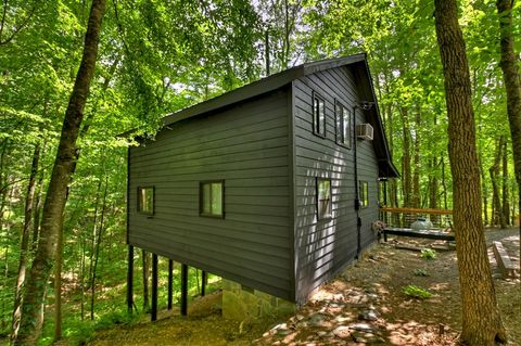 A home in Blue Ridge