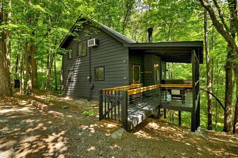 A home in Blue Ridge