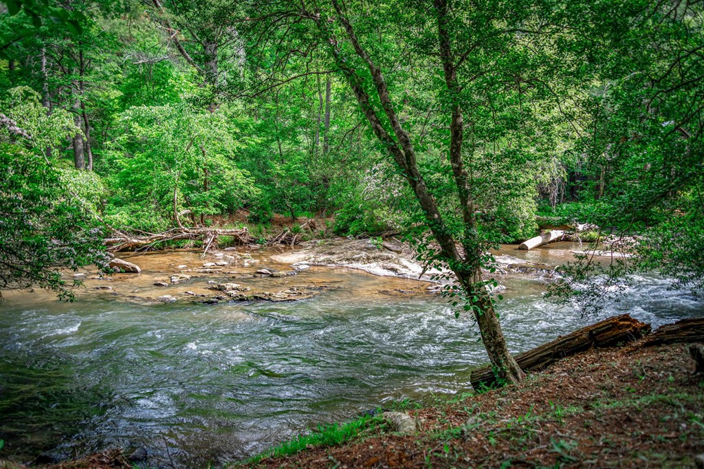 329 Blackberry Falls Lane