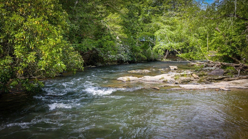 329 Blackberry Falls Lane