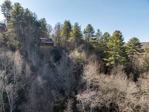 A home in Blue Ridge