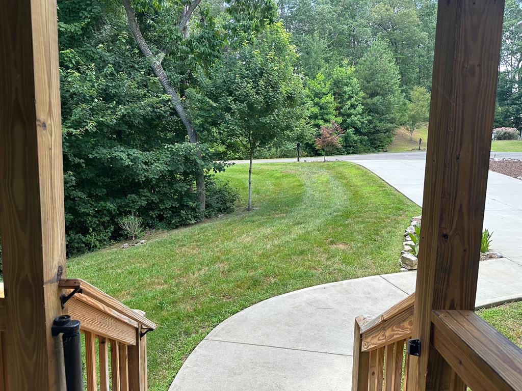 76 Brumby Trail