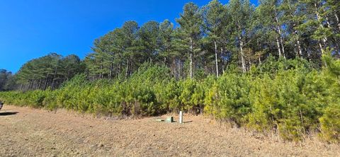 Lot 41 Deyton Drive Blairsville GA 30512