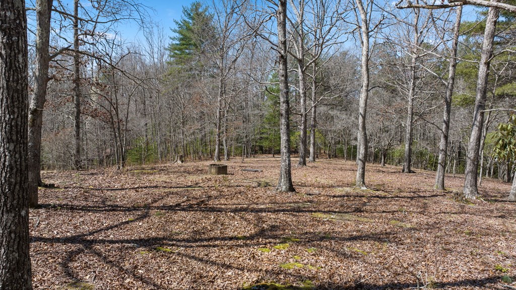 1262 Maple Grove Road
