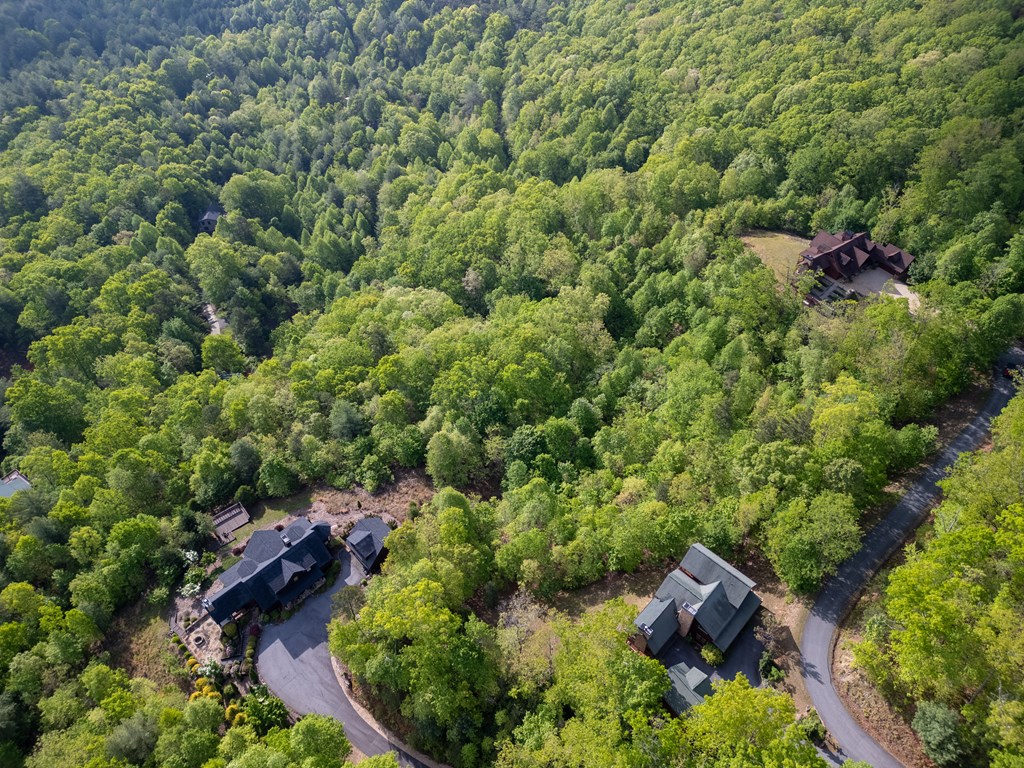 Mineral Bluff, Georgia, 30559, United States, 4 Bedrooms Bedrooms, ,5 BathroomsBathrooms,Residential,Active,2044192