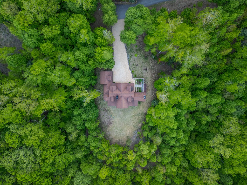 Mineral Bluff, Georgia, 30559, United States, 4 Bedrooms Bedrooms, ,5 BathroomsBathrooms,Residential,Active,2044192