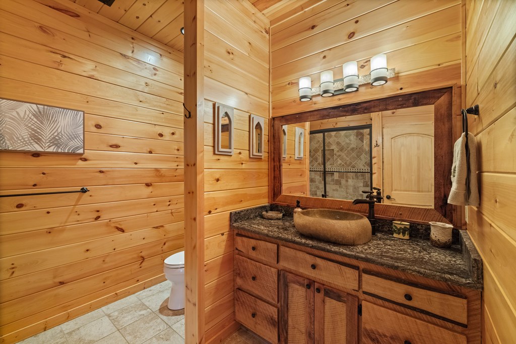 Mineral Bluff, Georgia, 30559, United States, 4 Bedrooms Bedrooms, ,5 BathroomsBathrooms,Residential,Active,2044192