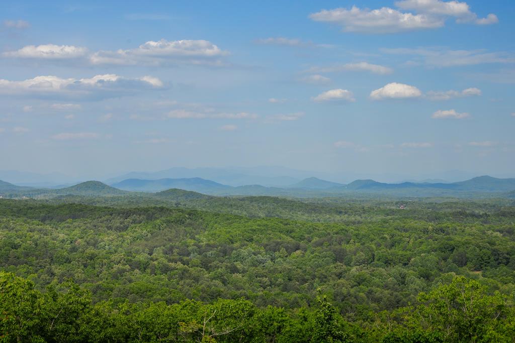 Mineral Bluff, Georgia, 30559, United States, 4 Bedrooms Bedrooms, ,5 BathroomsBathrooms,Residential,Active,2044192