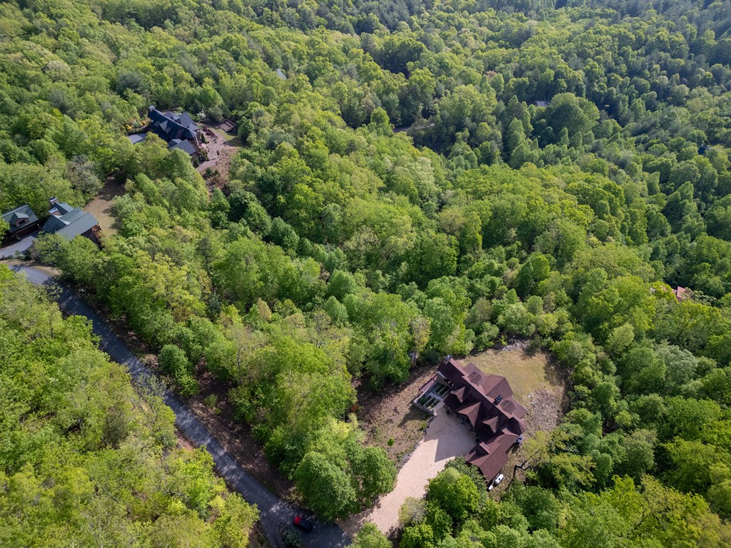 Mineral Bluff, Georgia, 30559, United States, 4 Bedrooms Bedrooms, ,5 BathroomsBathrooms,Residential,Active,2044192
