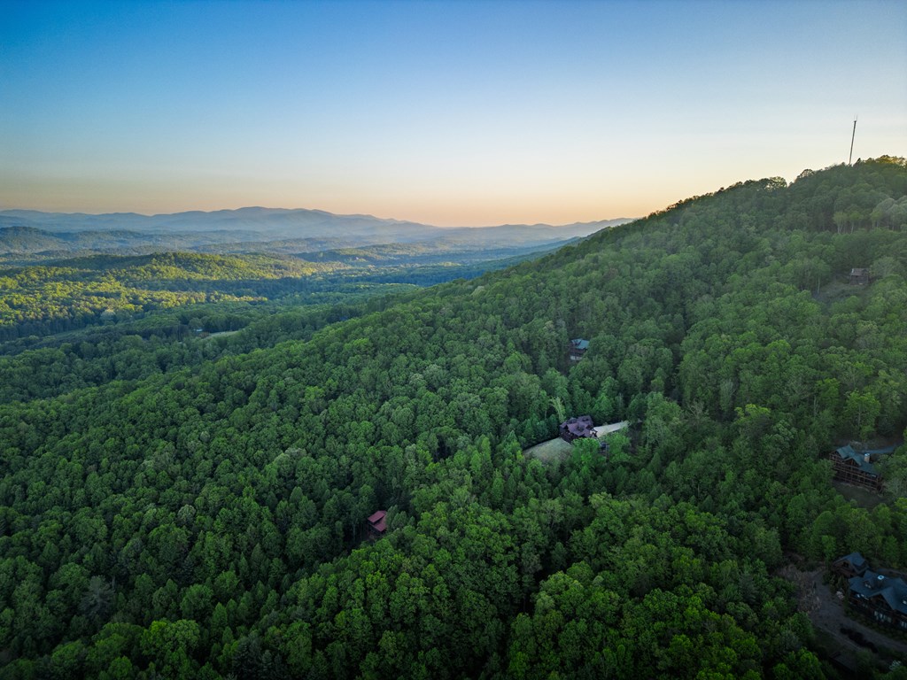 Mineral Bluff, Georgia, 30559, United States, 4 Bedrooms Bedrooms, ,5 BathroomsBathrooms,Residential,Active,2044192