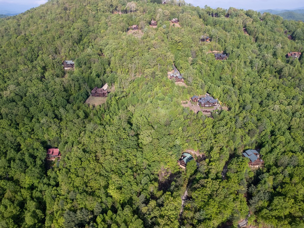 Mineral Bluff, Georgia, 30559, United States, 4 Bedrooms Bedrooms, ,5 BathroomsBathrooms,Residential,Active,2044192