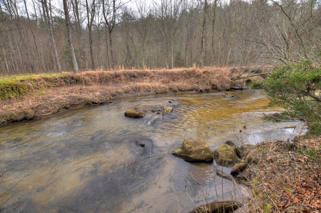 1175 Lickskillet Circle