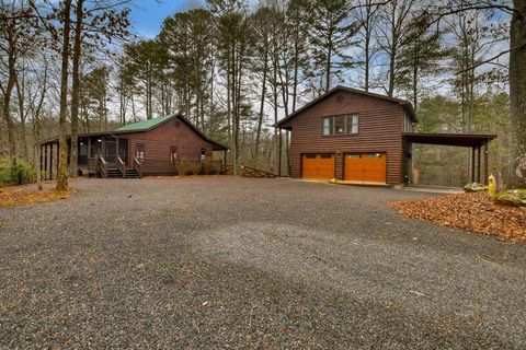 1175 Lickskillet Circle Blue Ridge GA 30513