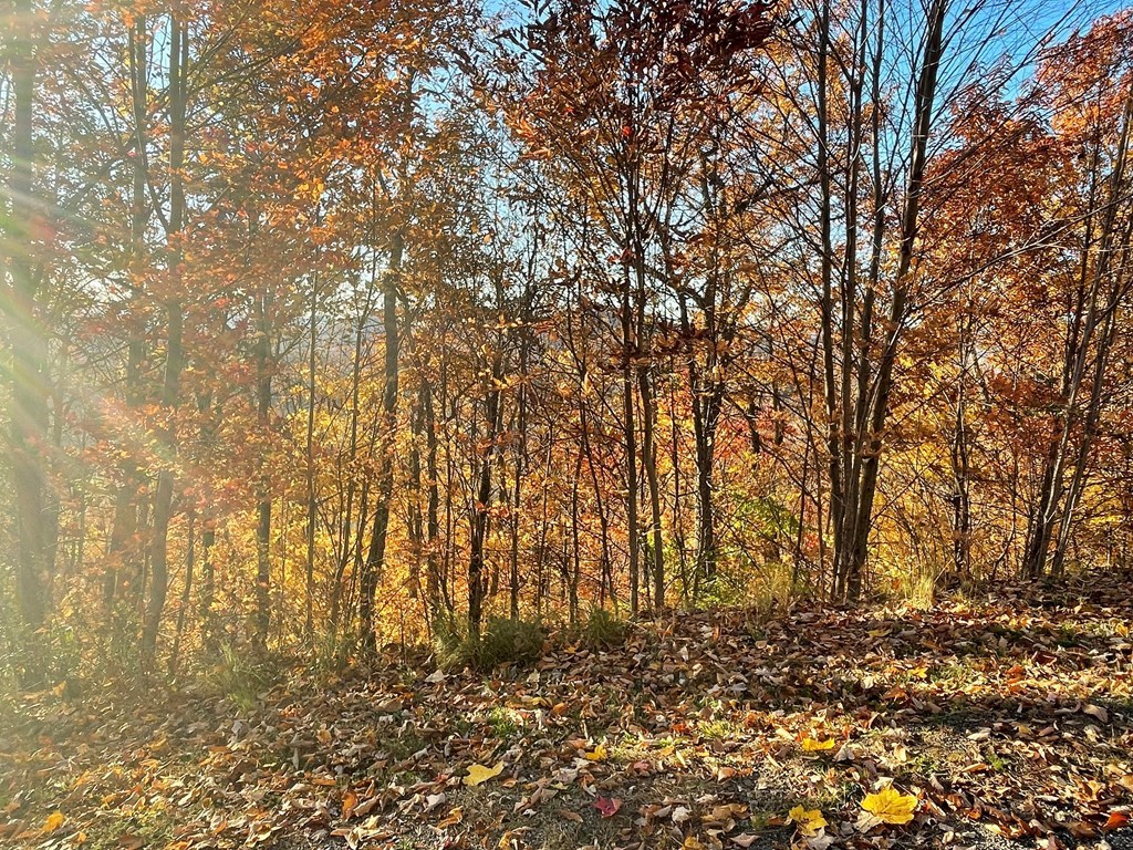 Lot 58M Ridges Overlook