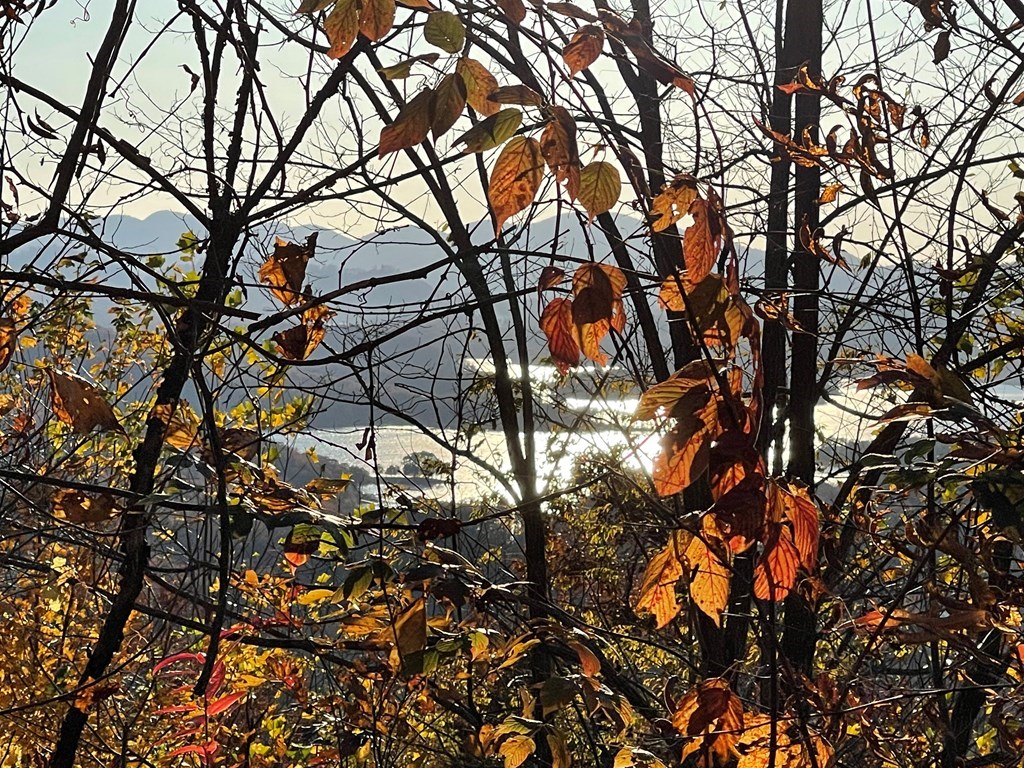 Lot 58M Ridges Overlook