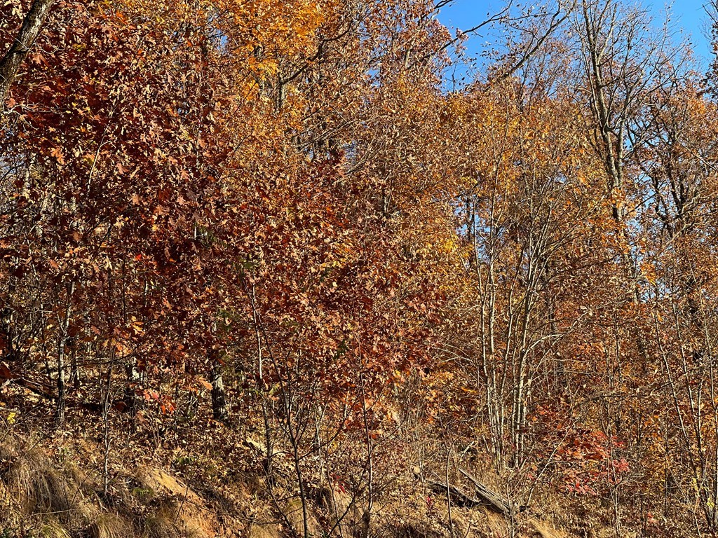 Lot 58M Ridges Overlook