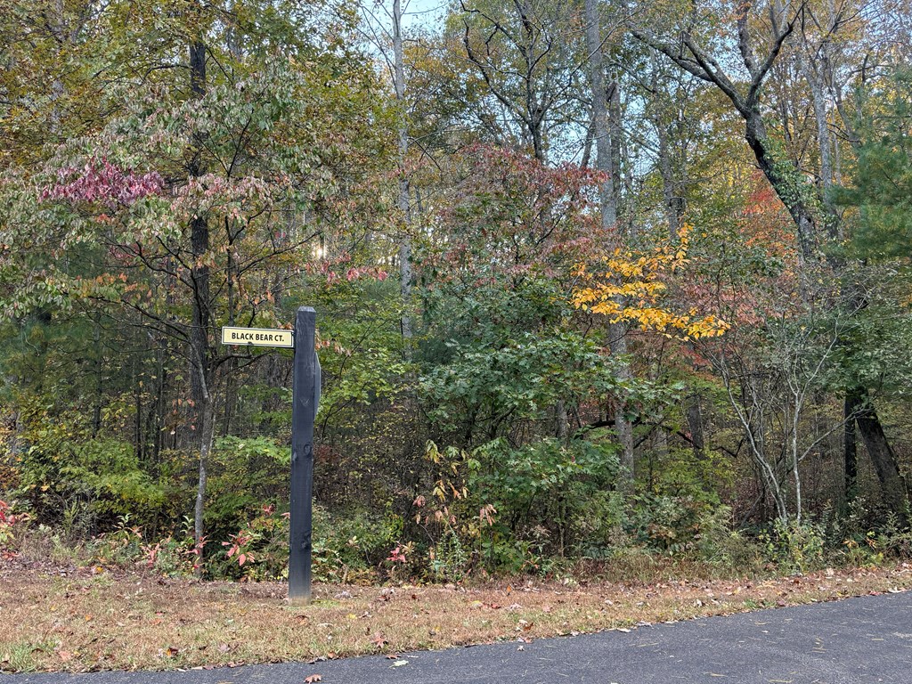 0 Lot 7 Black Bear Court