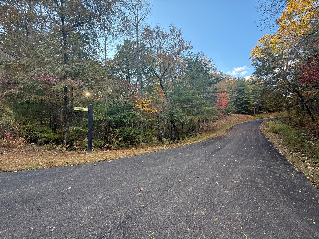 0 Lot 7 Black Bear Court