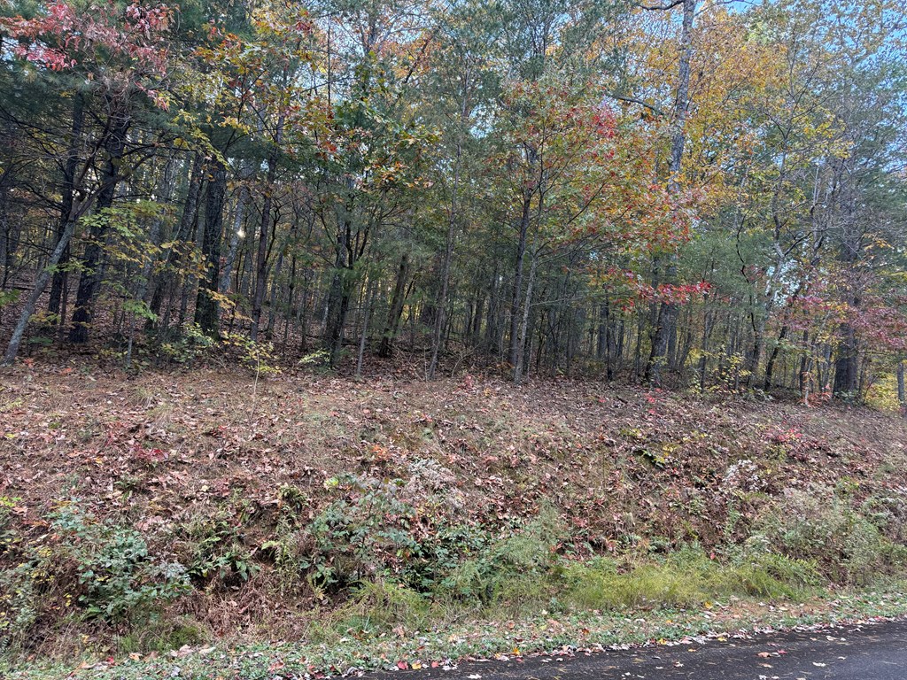 0 Lot 7 Black Bear Court