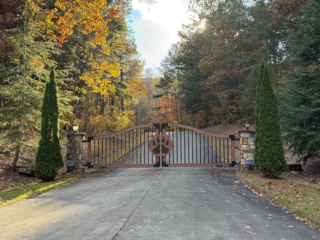 0 Lot 7 Black Bear Court