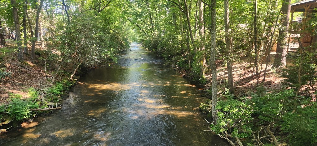 Lot 44 Mountain Laurel Trail