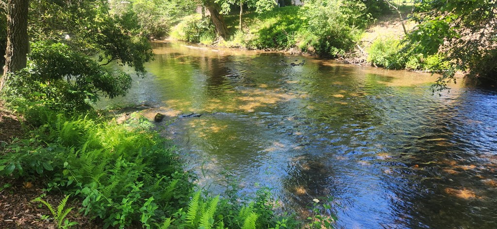 Lot 44 Mountain Laurel Trail