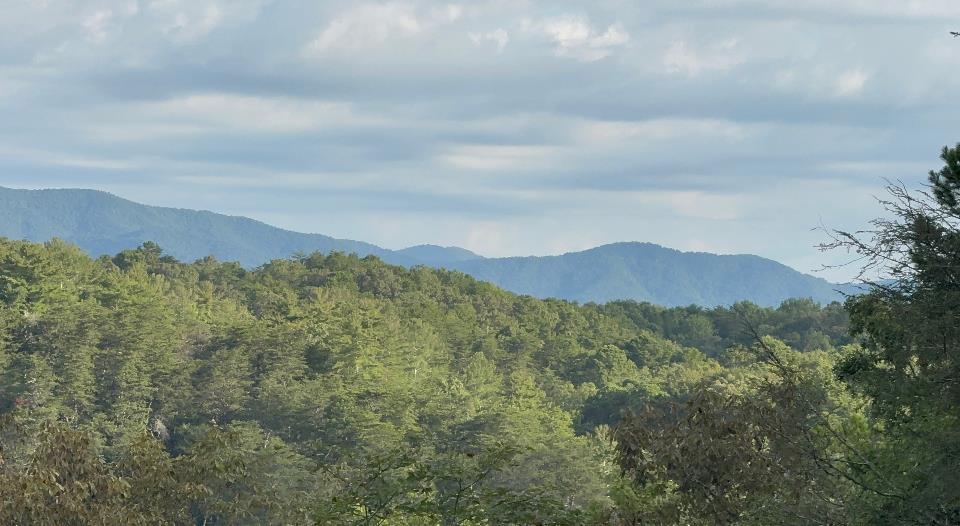 63 Granny Smith Lane