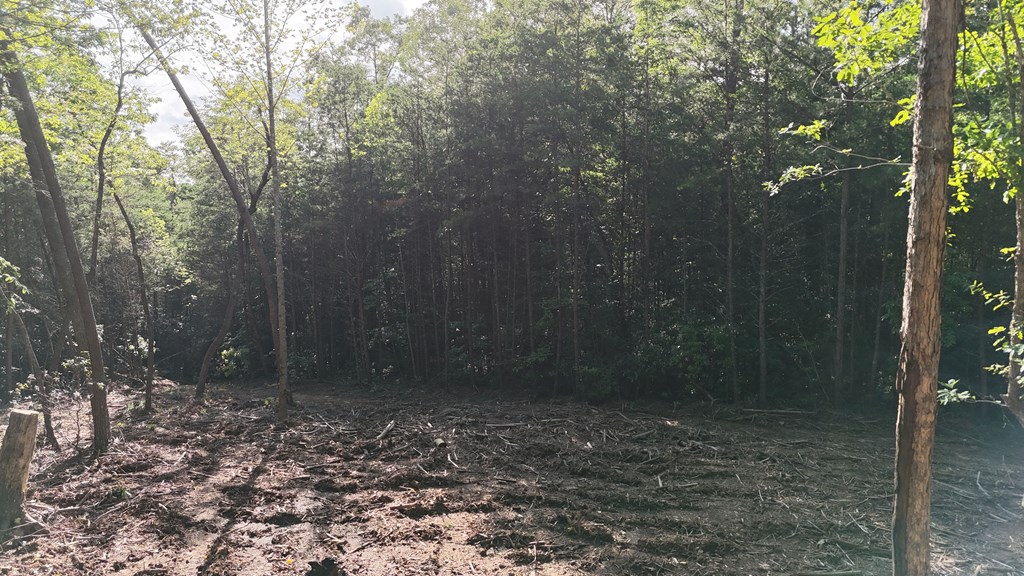 TR A E New Hope Road E