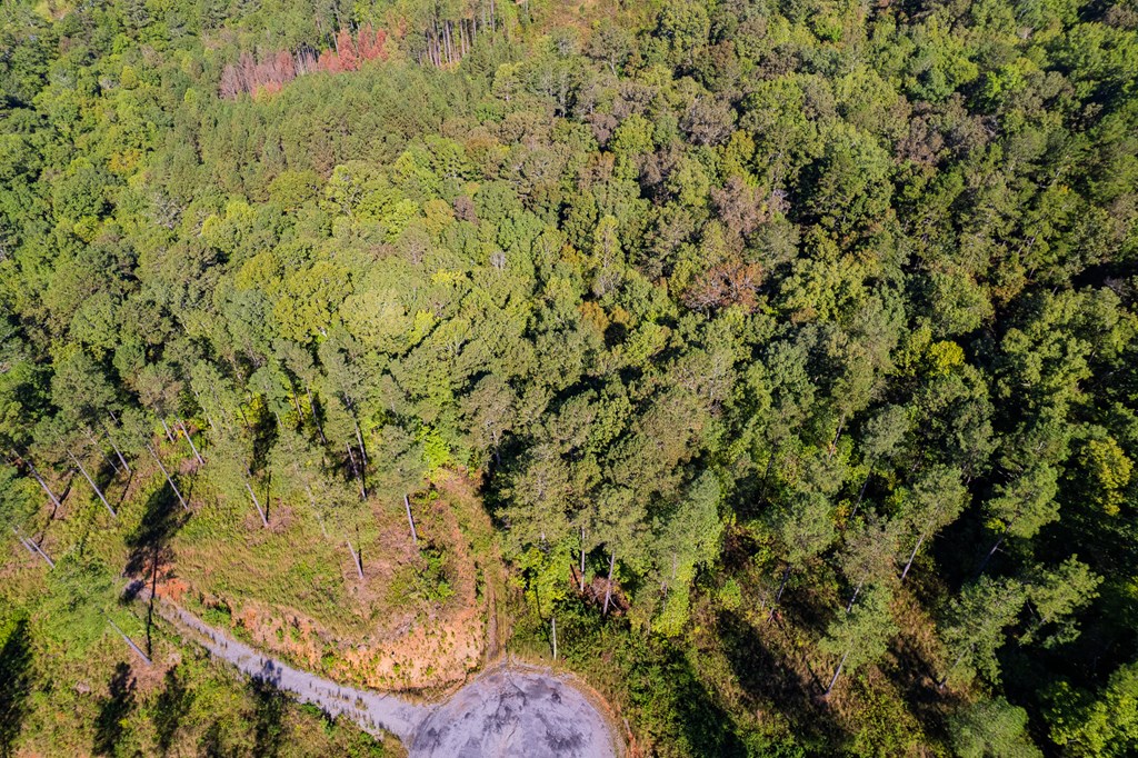 Lot 52 Royal Wulff Avenue