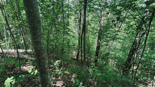 409&411 Barefoot Rise