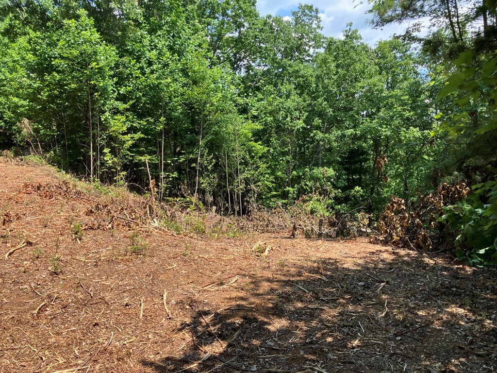 14 View Ridge Trail