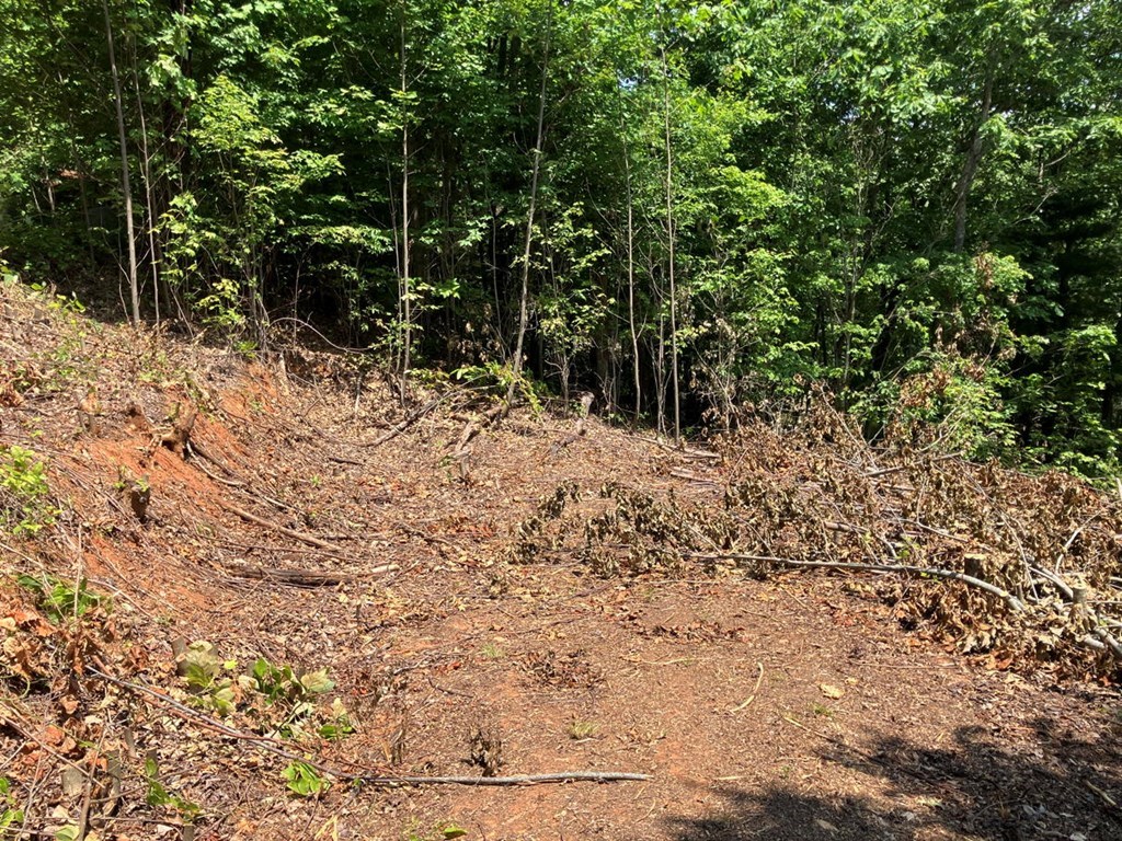 14 View Ridge Trail