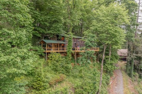 A home in Blue Ridge