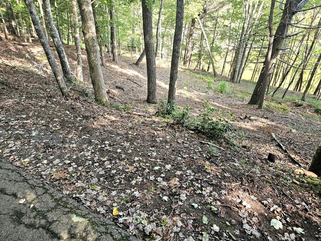 Lot 6 Cranes Nest Cove