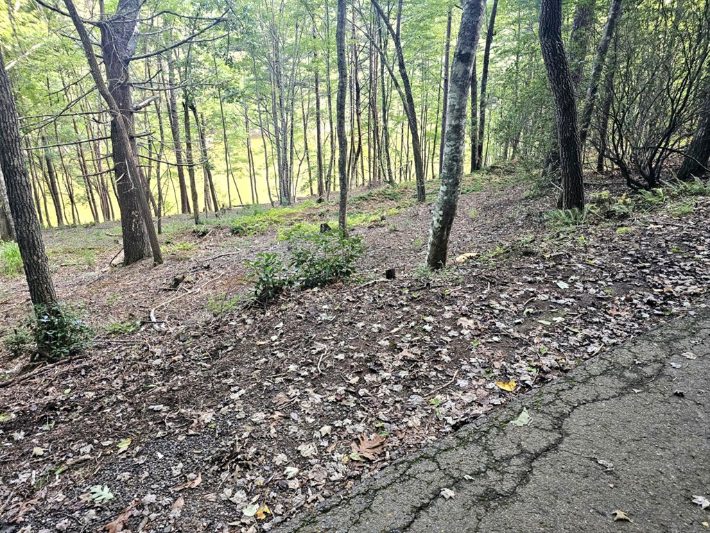 Lot 6 Cranes Nest Cove