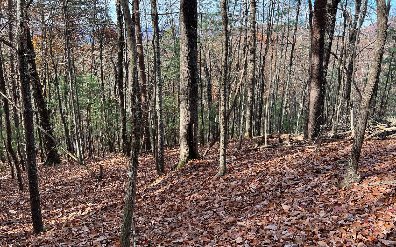 J-214 Walnut Mountain Road