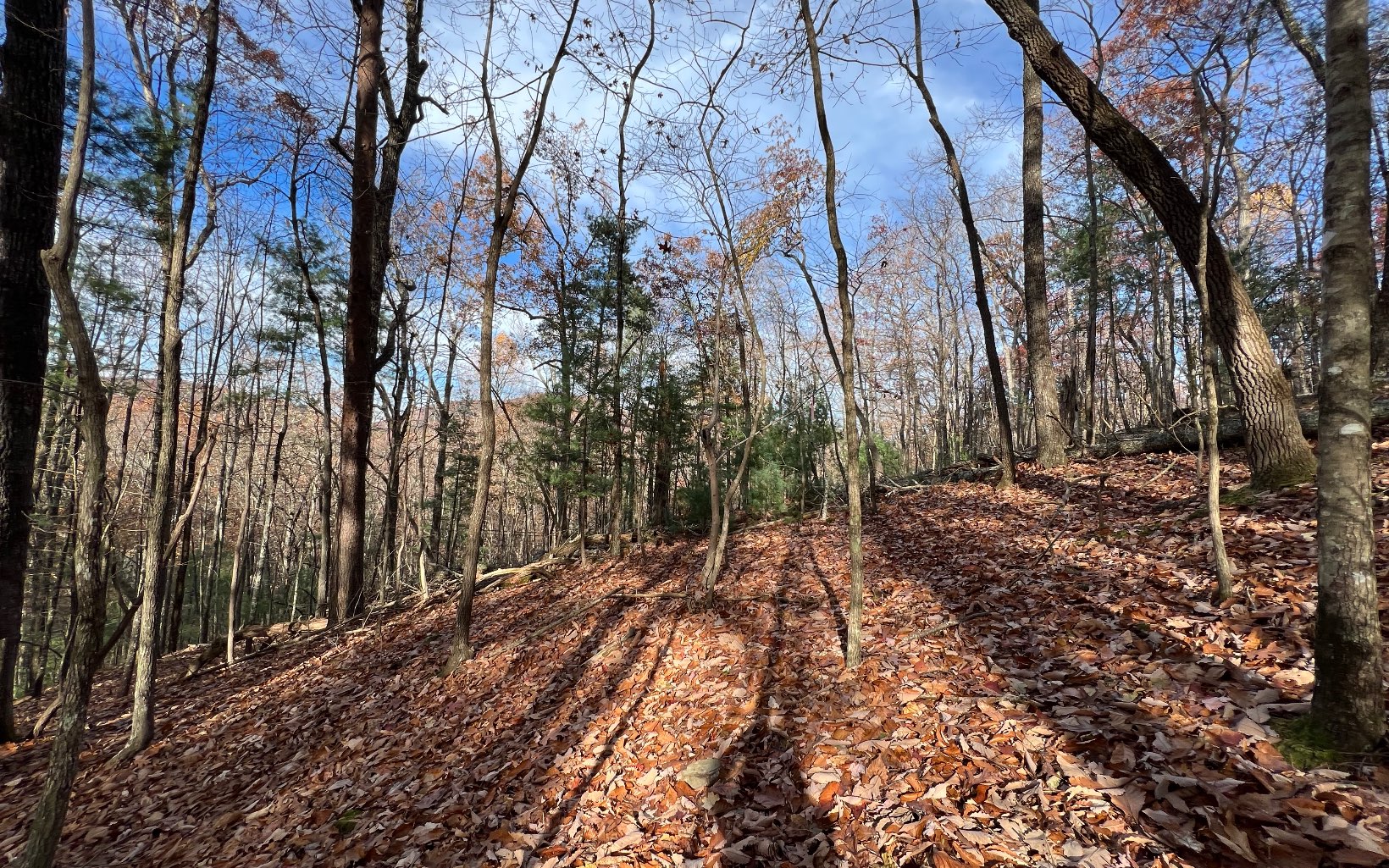 J-214 Walnut Mountain Road