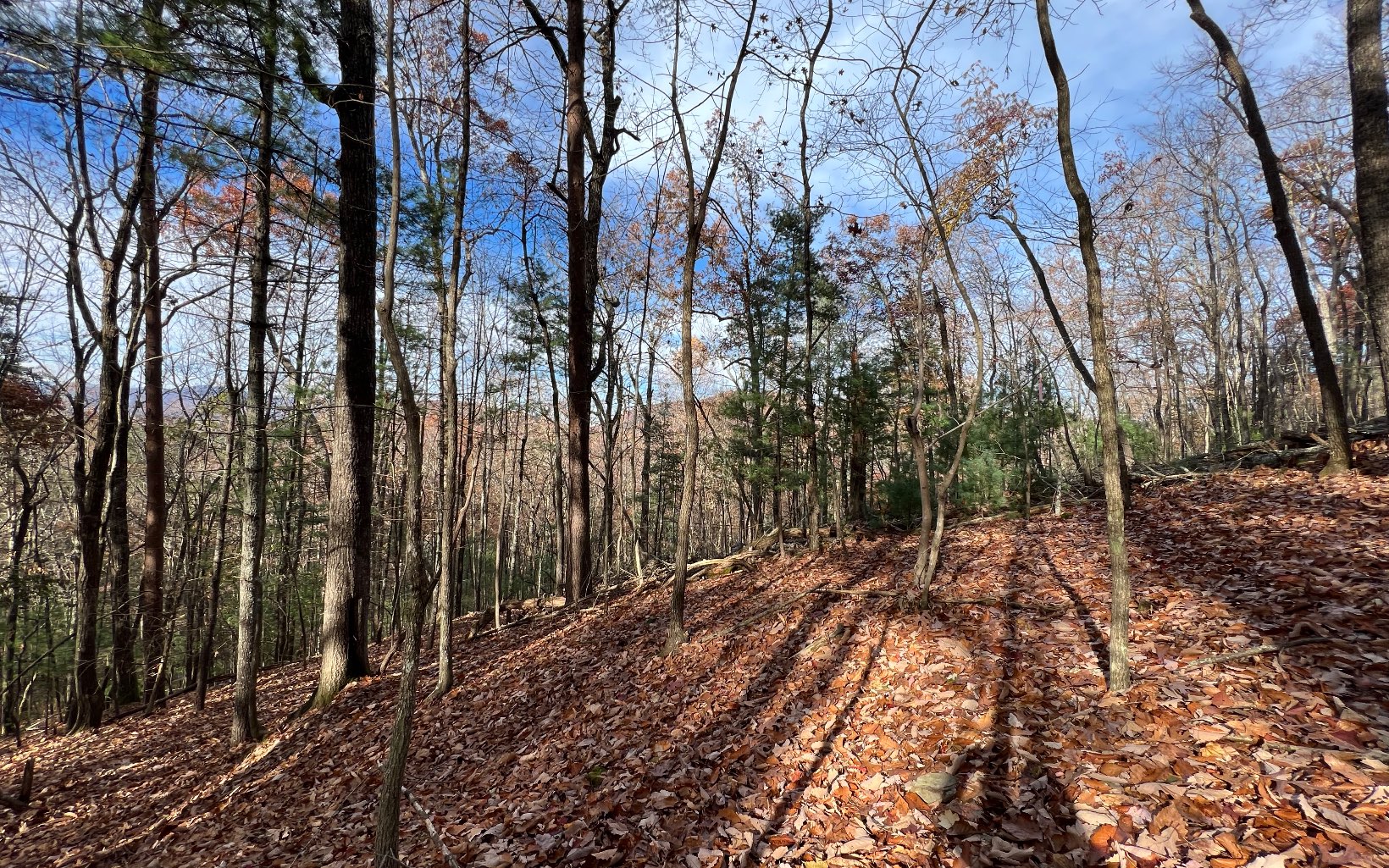 J-214 Walnut Mountain Road