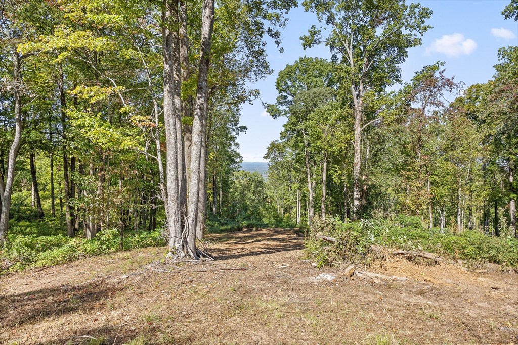 Lot 38 High Summit Drive
