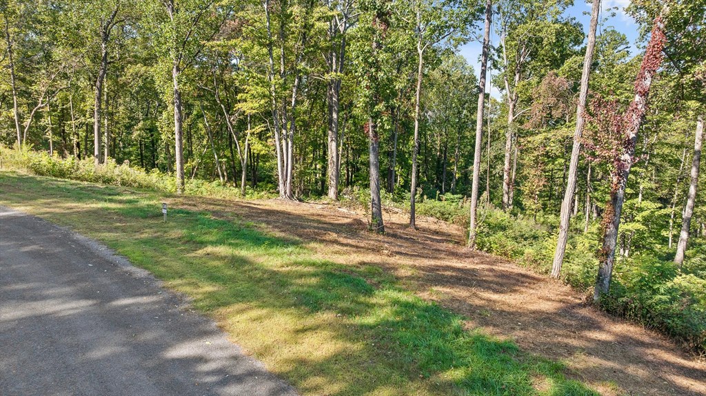Lot 38 High Summit Drive