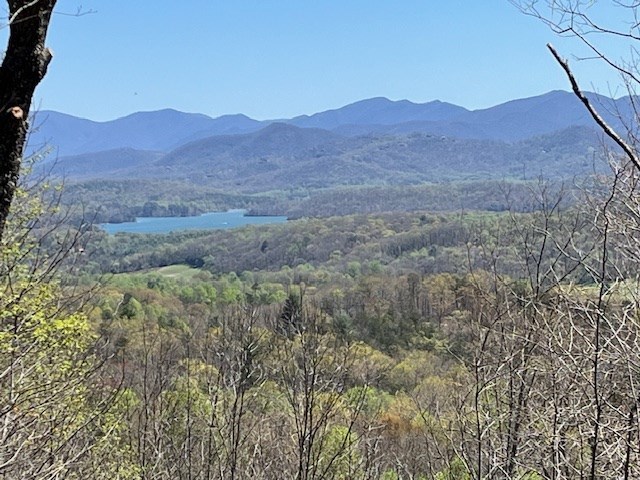 Lot 11 Longview Drive