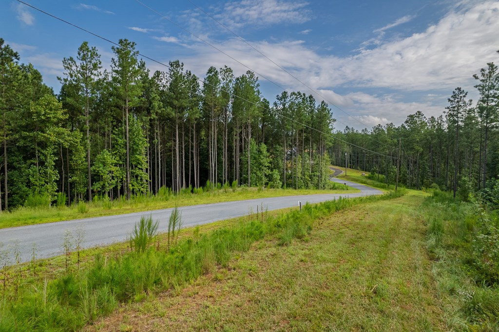 Lot 195 Blalock Mountain Road