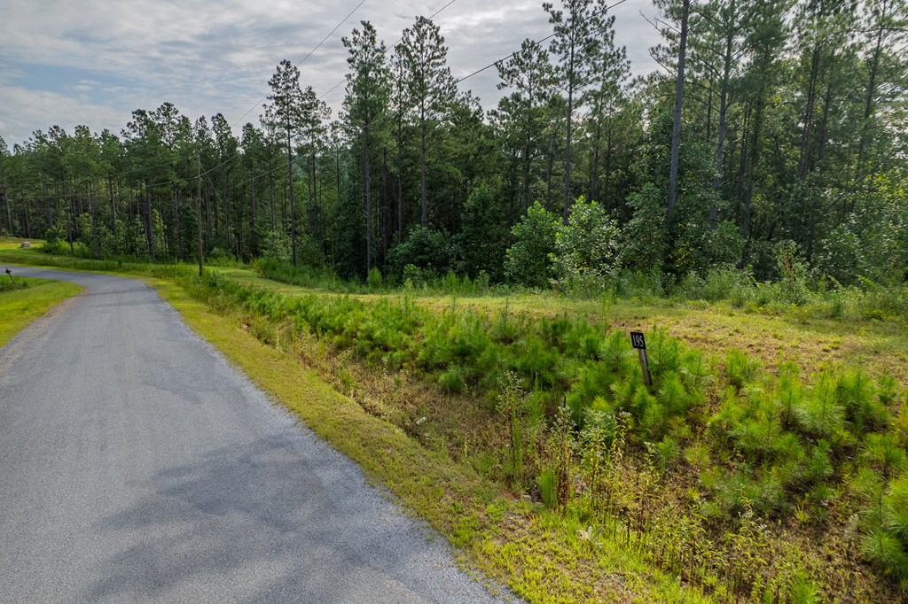 Lot 195 Blalock Mountain Road