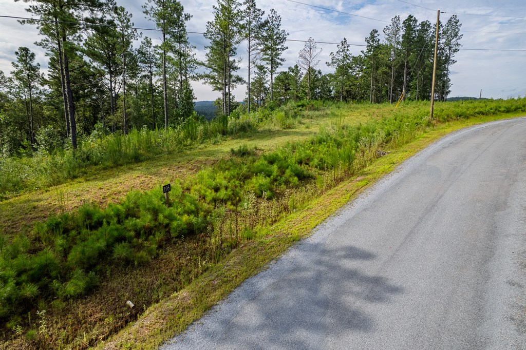 Lot 195 Blalock Mountain Road
