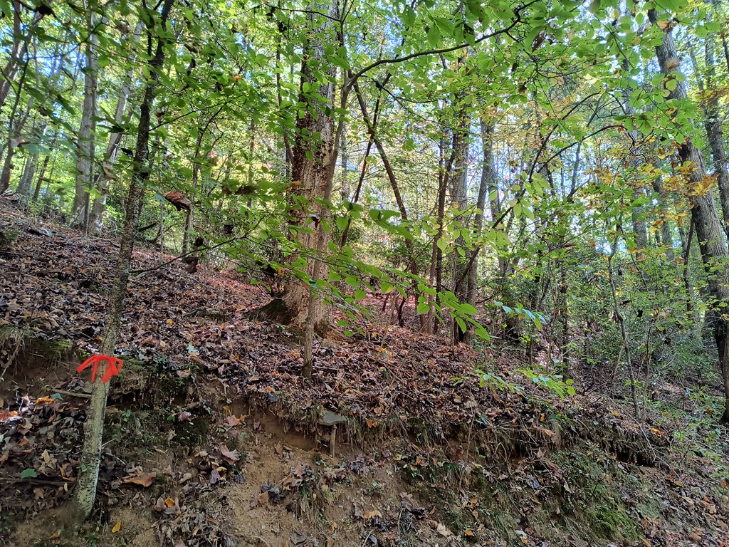 Lot 334 Cold Stream Court