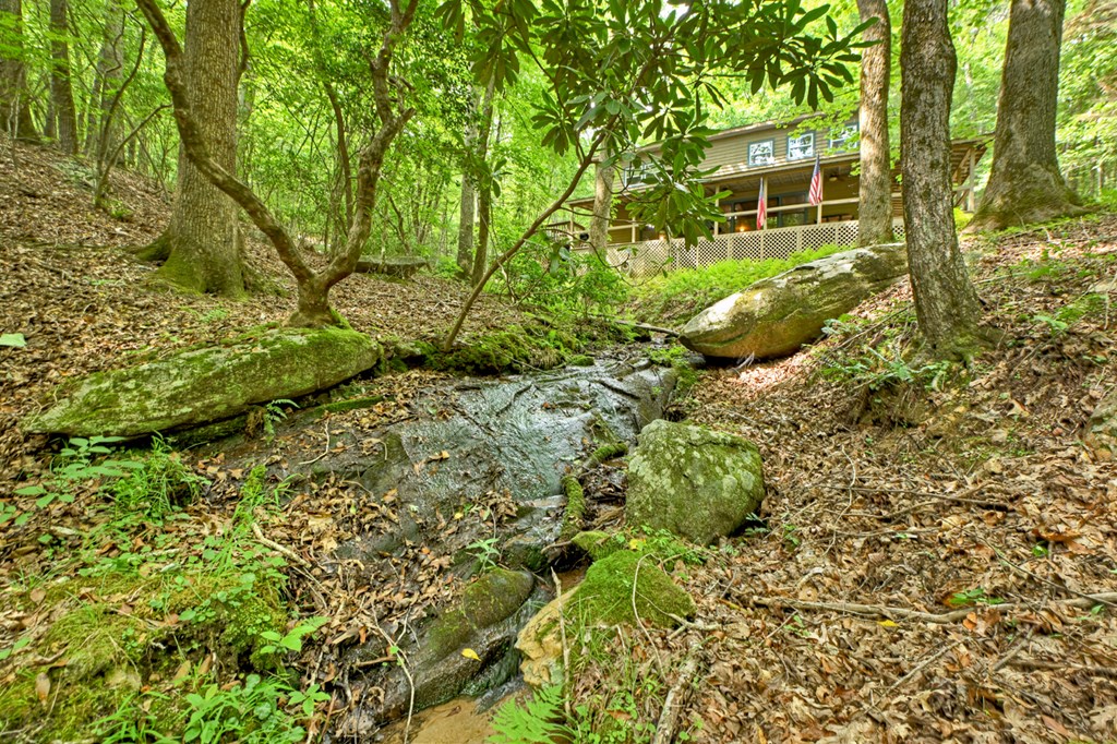 1431 Cashes Valley Lane