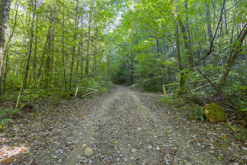 90 AC Tree House Road
