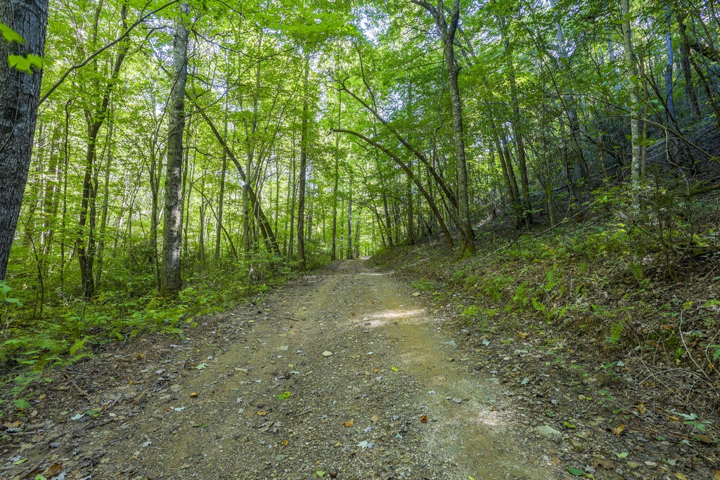 90 AC Tree House Road