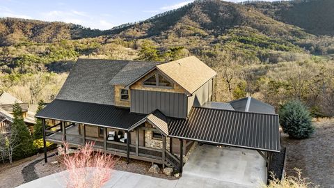 A home in Blue Ridge